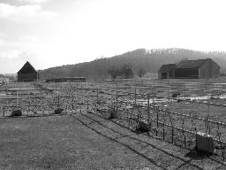 Paddock Rohrverbinder Reitplatz